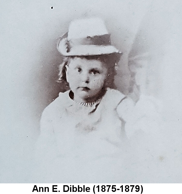 Ann E. Dibble (1875-1879); black and white studio portrait of a girl, about 2 years old, with ring curls, white dress, necklace, and wearing a striking white hat with a dark ribbon around the crown and a wide brim turned up on one side; she gazes sadly at the camera.